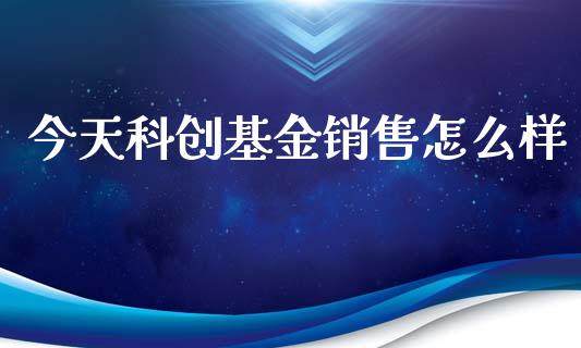 今天科创基金销售怎么样_https://wap.yjjixie.cn_港股行情_第1张