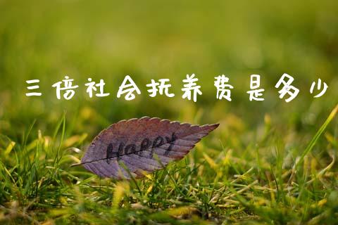 三倍社会抚养费是多少_https://wap.yjjixie.cn_证券市场_第1张