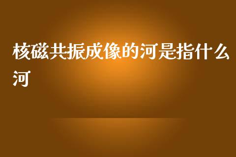 核磁共振成像的河是指什么河_https://wap.yjjixie.cn_港股行情_第1张