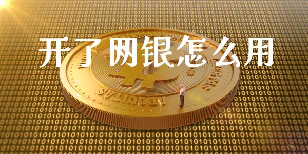 开了网银怎么用_https://wap.yjjixie.cn_商业资讯_第1张