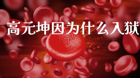 高元坤因为什么入狱_https://wap.yjjixie.cn_保险理财_第1张