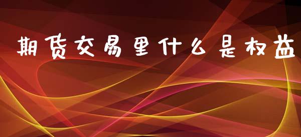 期货交易里什么是权益_https://wap.yjjixie.cn_保险理财_第1张