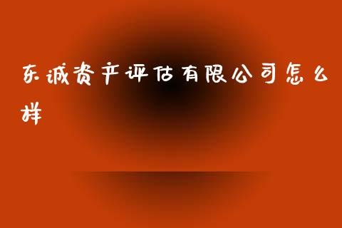 东诚资产评估有限公司怎么样_https://wap.yjjixie.cn_证券市场_第1张