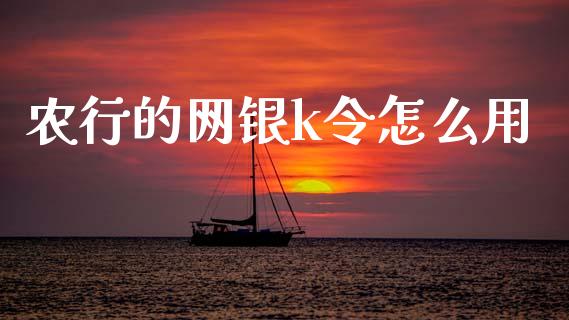 农行的网银k令怎么用_https://wap.yjjixie.cn_证券市场_第1张