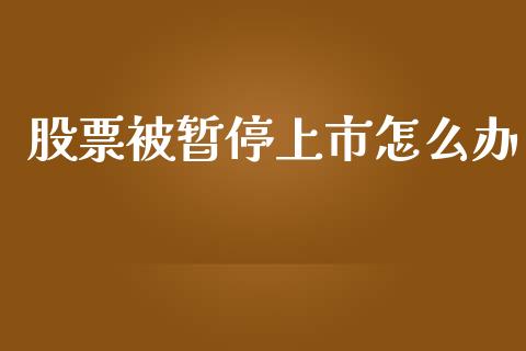 股票被暂停上市怎么办_https://wap.yjjixie.cn_保险理财_第1张