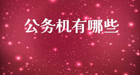 公务机有哪些_https://wap.yjjixie.cn_商业资讯_第1张