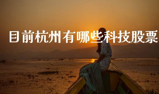 目前杭州有哪些科技股票_https://wap.yjjixie.cn_商业资讯_第1张