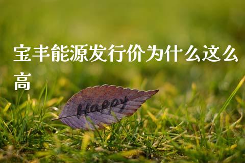 宝丰能源发行价为什么这么高_https://wap.yjjixie.cn_港股行情_第1张