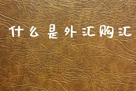 什么是外汇购汇_https://wap.yjjixie.cn_商业资讯_第1张