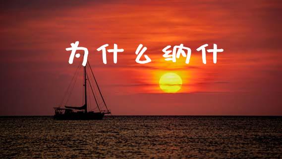 为什么纳什_https://wap.yjjixie.cn_保险理财_第1张