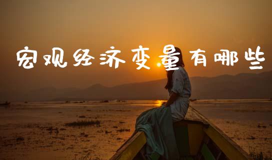 宏观经济变量有哪些_https://wap.yjjixie.cn_保险理财_第1张