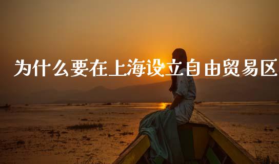 为什么要在上海设立自由贸易区_https://wap.yjjixie.cn_证券市场_第1张