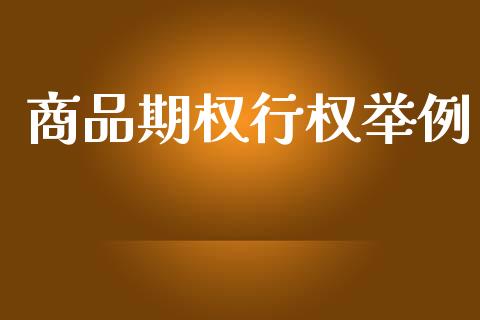 商品期权行权举例_https://wap.yjjixie.cn_保险理财_第1张