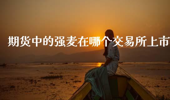 期货中的强麦在哪个交易所上市_https://wap.yjjixie.cn_商业资讯_第1张