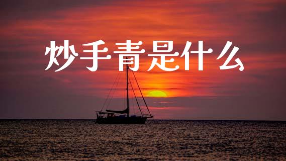 炒手青是什么_https://wap.yjjixie.cn_保险理财_第1张