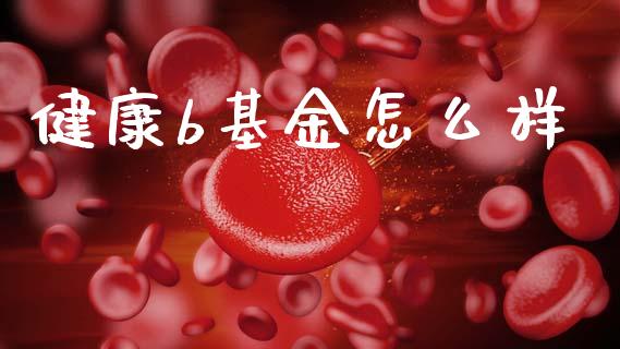 健康b基金怎么样_https://wap.yjjixie.cn_保险理财_第1张