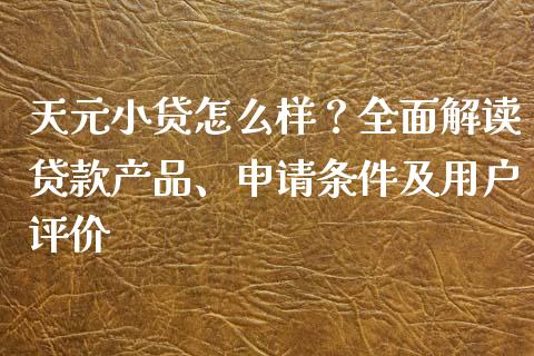 天元小贷怎么样？全面解读贷款产品、申请条件及用户评价_https://wap.yjjixie.cn_港股行情_第1张