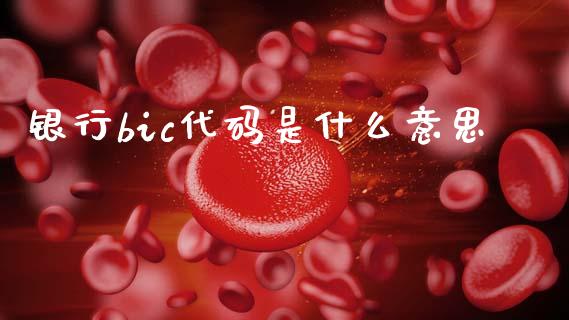 银行bic代码是什么意思_https://wap.yjjixie.cn_证券市场_第1张