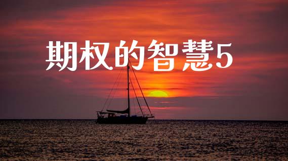 期权的智慧5_https://wap.yjjixie.cn_证券市场_第1张