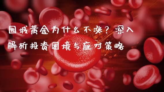 园城黄金为什么不涨？深入解析投资困境与应对策略_https://wap.yjjixie.cn_保险理财_第1张