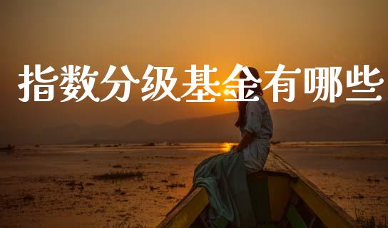 指数分级基金有哪些_https://wap.yjjixie.cn_保险理财_第1张