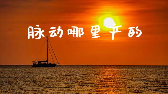 脉动哪里产的_https://wap.yjjixie.cn_保险理财_第1张