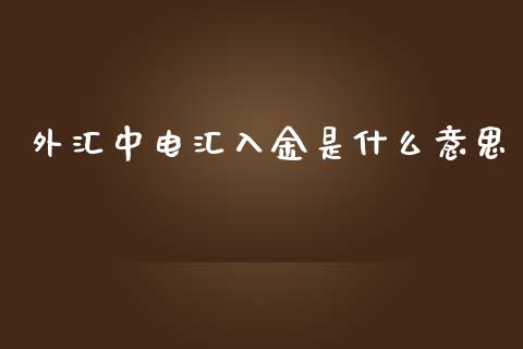 外汇中电汇入金是什么意思_https://wap.yjjixie.cn_证券市场_第1张