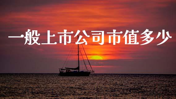 一般上市公司市值多少_https://wap.yjjixie.cn_商业资讯_第1张