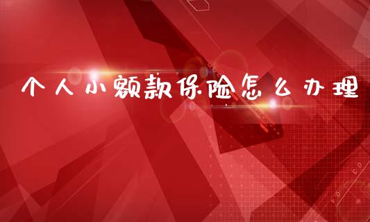 个人小额款保险怎么办理_https://wap.yjjixie.cn_保险理财_第1张