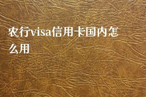 农行visa信用卡国内怎么用_https://wap.yjjixie.cn_商业资讯_第1张