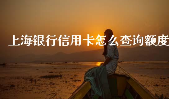 上海银行信用卡怎么查询额度_https://wap.yjjixie.cn_保险理财_第1张
