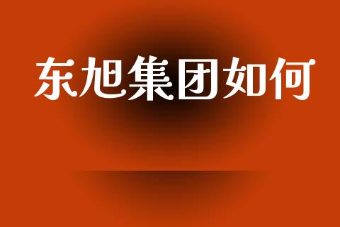 东旭集团如何_https://wap.yjjixie.cn_港股行情_第1张