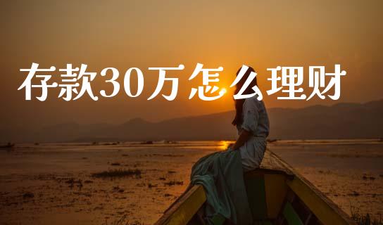 存款30万怎么理财_https://wap.yjjixie.cn_保险理财_第1张