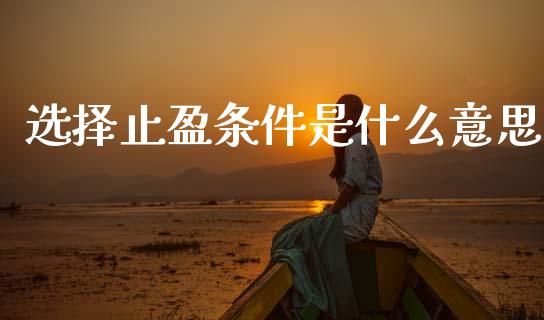 选择止盈条件是什么意思_https://wap.yjjixie.cn_保险理财_第1张