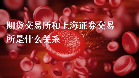 期货交易所和上海证券交易所是什么关系_https://wap.yjjixie.cn_证券市场_第1张
