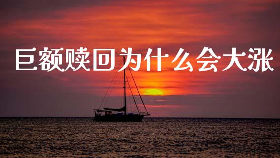 巨额赎回为什么会大涨_https://wap.yjjixie.cn_保险理财_第1张