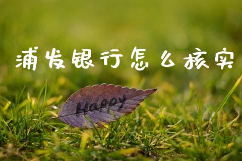 浦发银行怎么核实_https://wap.yjjixie.cn_保险理财_第1张