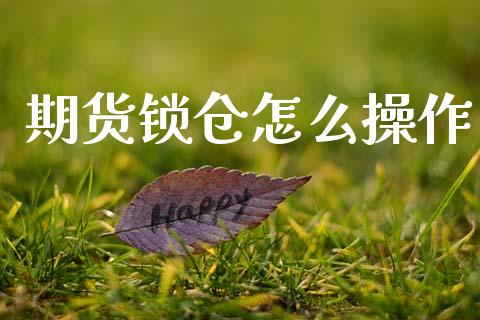 期货锁仓怎么操作_https://wap.yjjixie.cn_证券市场_第1张