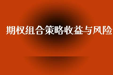 期权组合策略收益与风险_https://wap.yjjixie.cn_证券市场_第1张
