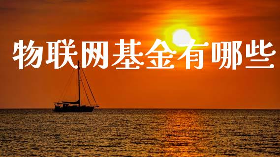 物联网基金有哪些_https://wap.yjjixie.cn_港股行情_第1张