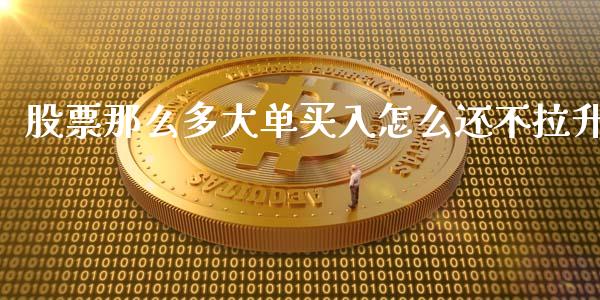 股票那么多大单买入怎么还不拉升_https://wap.yjjixie.cn_商业资讯_第1张