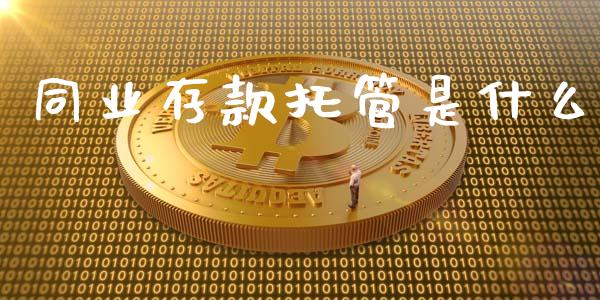 同业存款托管是什么_https://wap.yjjixie.cn_证券市场_第1张