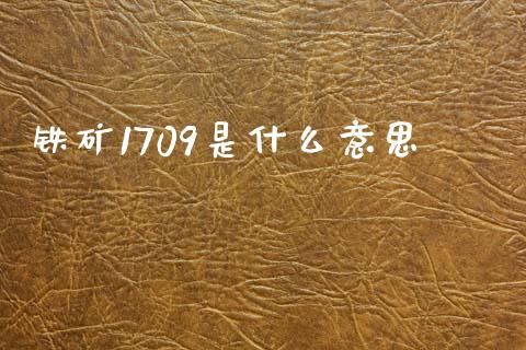 铁矿1709是什么意思_https://wap.yjjixie.cn_商业资讯_第1张