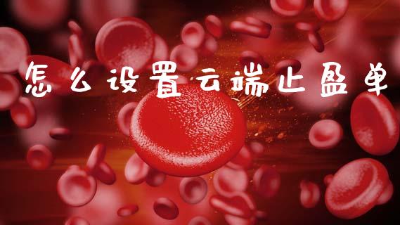 怎么设置云端止盈单_https://wap.yjjixie.cn_商业资讯_第1张
