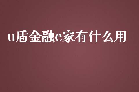 u盾金融e家有什么用_https://wap.yjjixie.cn_证券市场_第1张
