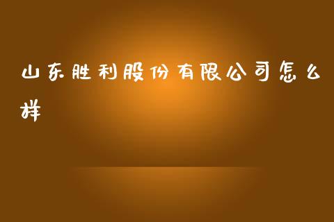 山东胜利股份有限公司怎么样_https://wap.yjjixie.cn_港股行情_第1张