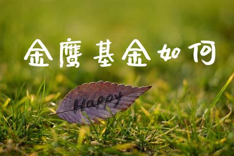 金鹰基金如何_https://wap.yjjixie.cn_保险理财_第1张