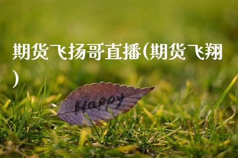期货飞扬哥直播(期货飞翔)_https://wap.yjjixie.cn_港股行情_第1张