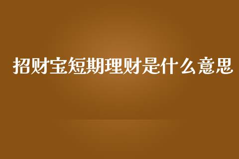 招财宝短期理财是什么意思_https://wap.yjjixie.cn_商业资讯_第1张
