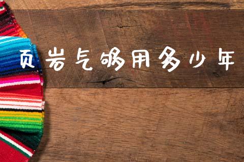 页岩气够用多少年_https://wap.yjjixie.cn_保险理财_第1张